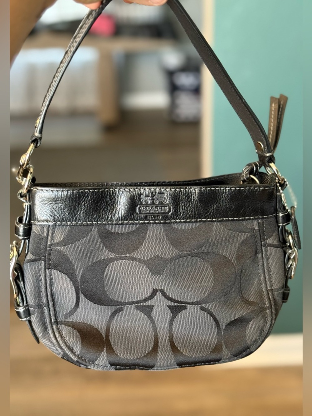 Vintage Coach Mini Zoe Optic Hobo Y2K Small Shoulder Bag